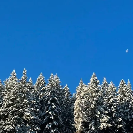 Kuckucksnest - Mit Traumblick Im Schwarzwald باد ويلباد