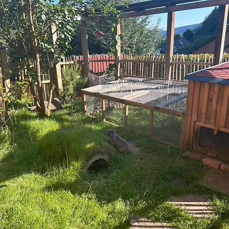 Kuckucksnest - Mit Traumblick Im Schwarzwald